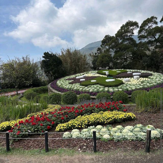 陽明山花鐘