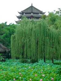 Stylish Stay in Chengdu