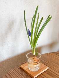 【福岡カフェ】野菜たっぷりの贅沢スープランチ
