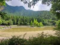 #明池國家森林遊樂區-宜蘭縣大同鄉