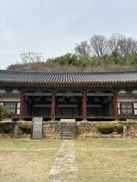 고즈넉한 분위기의 ‘밀양향교’를 가다 ✨🏯