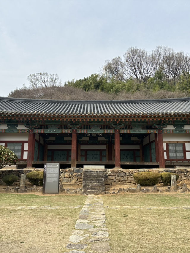 고즈넉한 분위기의 ‘밀양향교’를 가다 ✨🏯