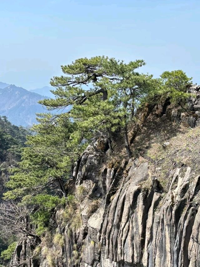 Mount Jiuhua