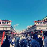Embracing Tradition & Nature at Sensoji Temple 🌿🎋 #EarthDayVibes