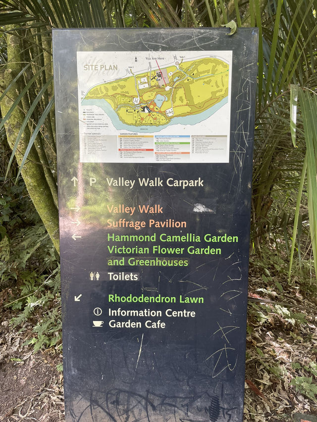 紐西蘭漢密爾頓各色主題花園～🌹