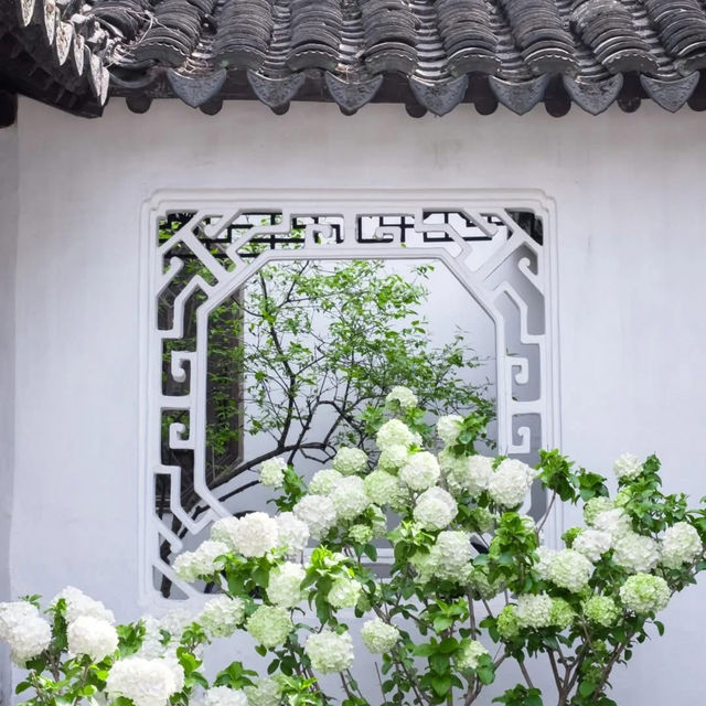 Breathtaking Suzhou Garden