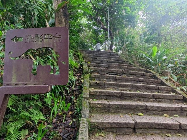 臺北四獸山之一#象山登山步道-臺北市信義區