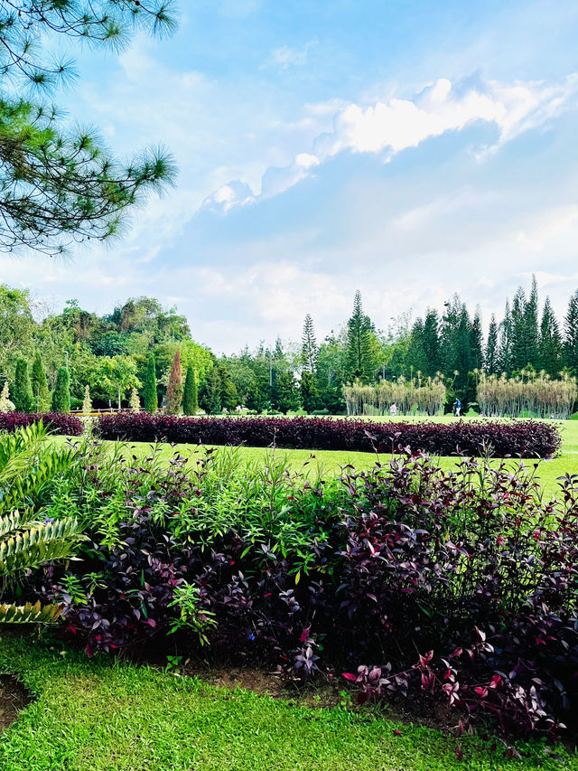 Taman Saujana Hijau: Sustainable Green Sanctuary