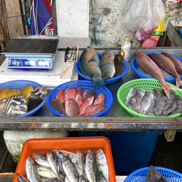 大溪漁港半日遊｜逛市場、嚐鮮味、望龜山島
