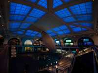 【American Museum of Natural Historyで1日を過ごす】🦖🌍