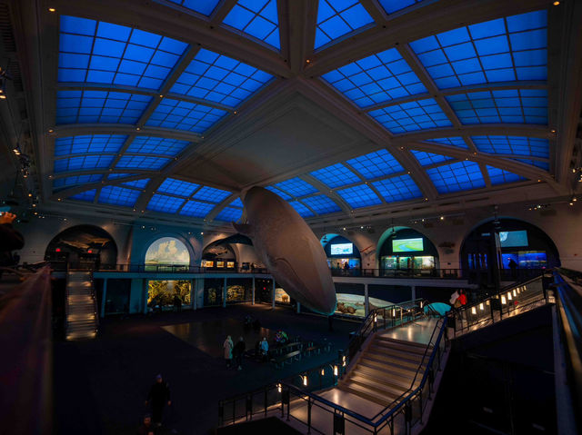 【American Museum of Natural Historyで1日を過ごす】🦖🌍