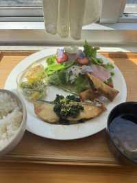 春野菜をたっぷりと使用したランチプレート🌸
