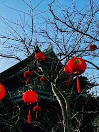 中國上海著名寺廟景點：龍華寺，適合打卡拍照📸