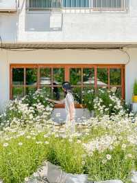 흙길 따라 도착한 마음 속 쉼터🌿🏡