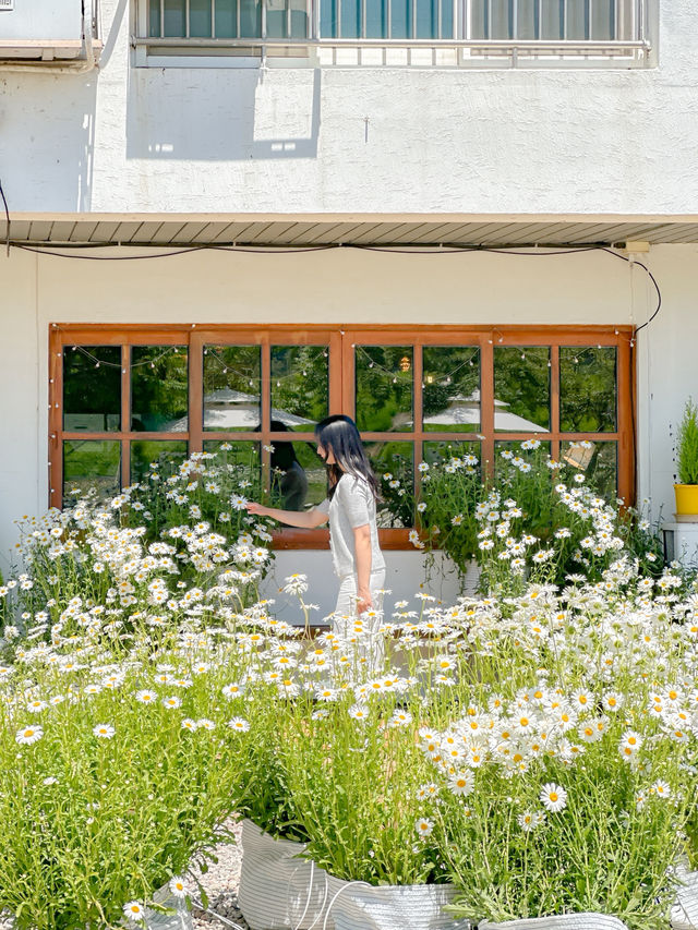 흙길 따라 도착한 마음 속 쉼터🌿🏡