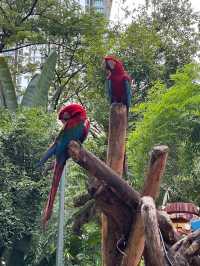 Sunway Lagoon Kuala Lumpur