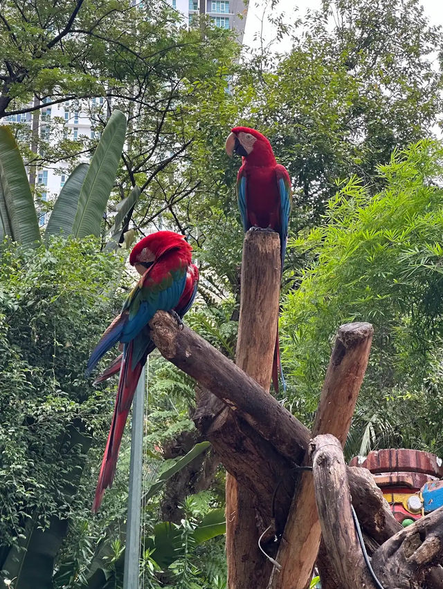 Sunway Lagoon Kuala Lumpur