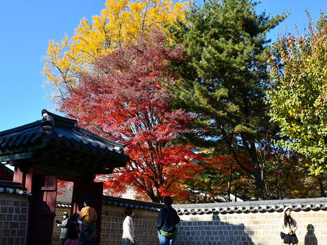 ソウル・宗廟（チョンミョ）の紅葉が見事すぎた