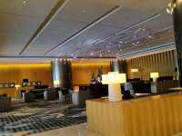 "DoubleTree JB: Where Luxury Meets Warm Hospitality in the Heart of the City"