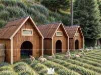 Farm& resort 