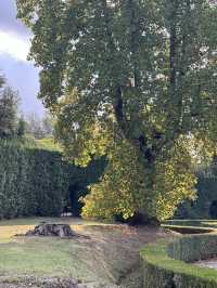 🌳 피렌체에서 가장 품격 있는 산책길, 보볼리 가든 (Giardino di Boboli)