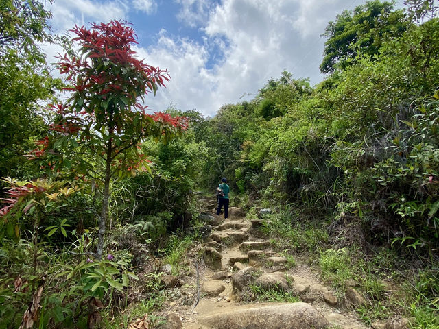 闖蕩漫步大埔滘✨🚶🏼 香港行山好去處✨