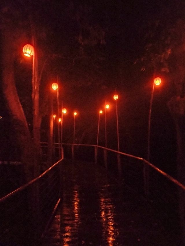 🌌A Celestial Walk🌌