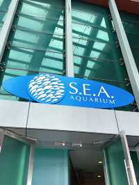 Dive into Wonder: A Journey Through S.E.A. Aquarium