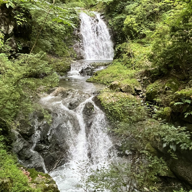 🌰【栗の木岳】 まつさかイレブン