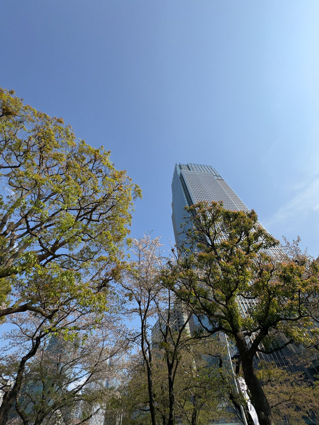 東京｜北之丸公園與東京中城一日遊