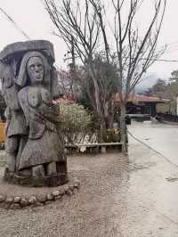 司馬庫斯神木群步道擁抱巨木去