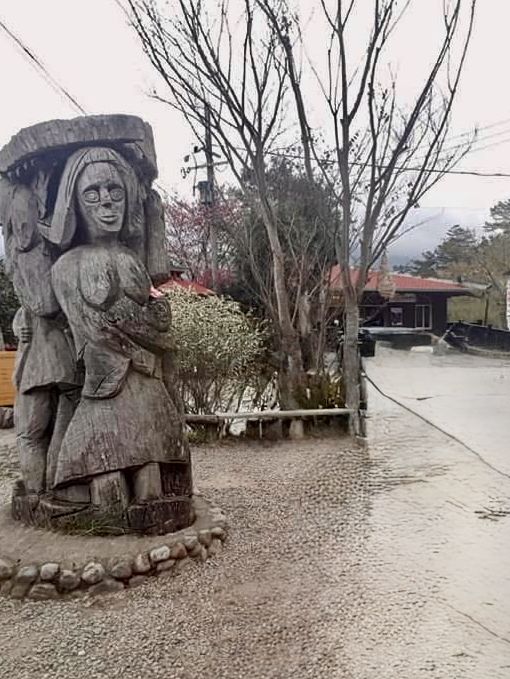 司馬庫斯神木群步道擁抱巨木去