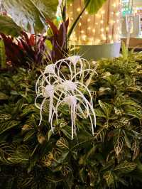 Sunway City Hari Raya – A Green Celebration of Sustainability