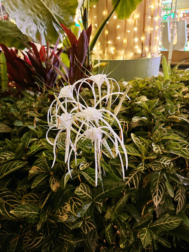 Sunway City Hari Raya – A Green Celebration of Sustainability