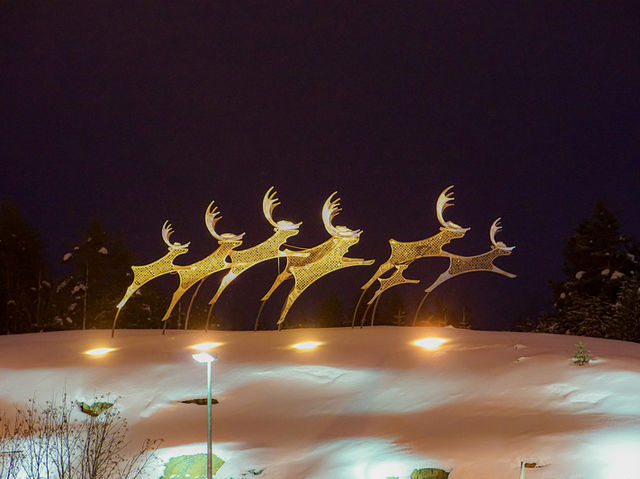 【北の玄関口へダイレクトアクセス】ロヴァニエミ空港（Rovaniemi Airport）🛫⛄