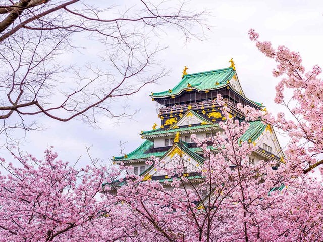 Osaka Castle Park Cherry Blossoms: A Fairytale in Pink