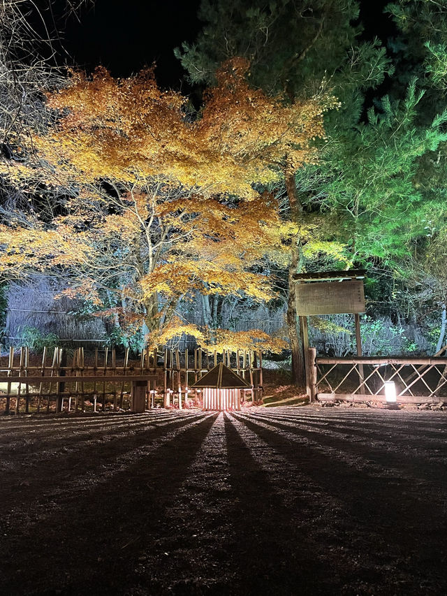 京都を代表する秋の名所「清水寺」へ
