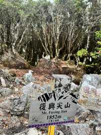走走林相優美的復興尖山