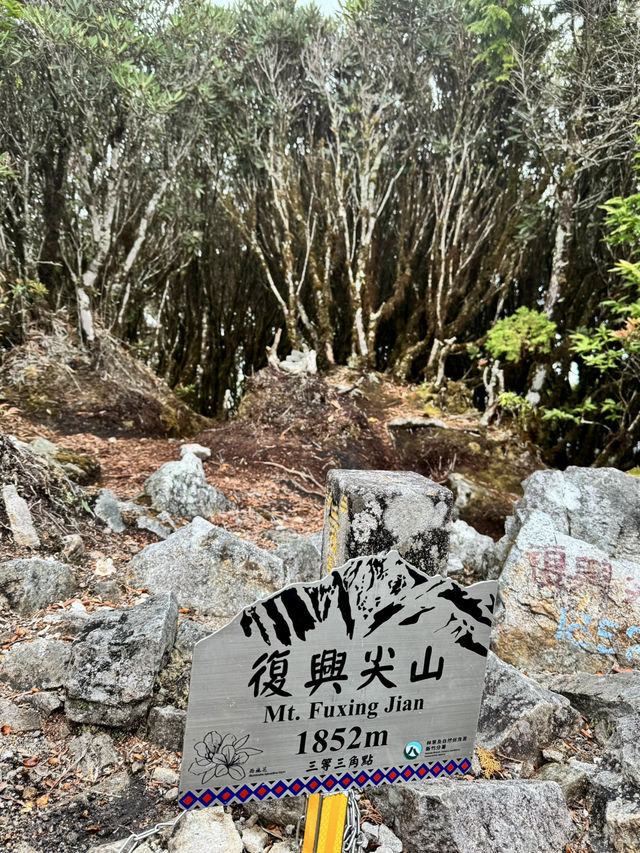 走走林相優美的復興尖山