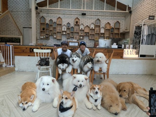 タイで癒されたいなら「Dog In Town Ari」へ！
