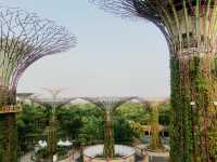 Visiting Gardens by the Bay: A Journey into Nature and Wonder 🌟