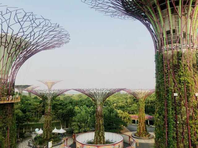 Visiting Gardens by the Bay: A Journey into Nature and Wonder 🌟