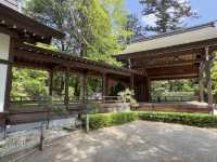 武田神社の能舞台で感じる歴史と伝統の美