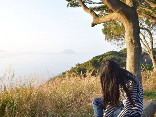 Discover Nokonoshima Island 