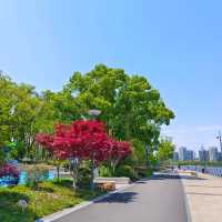 ～江邊印象～金溪體育公園～