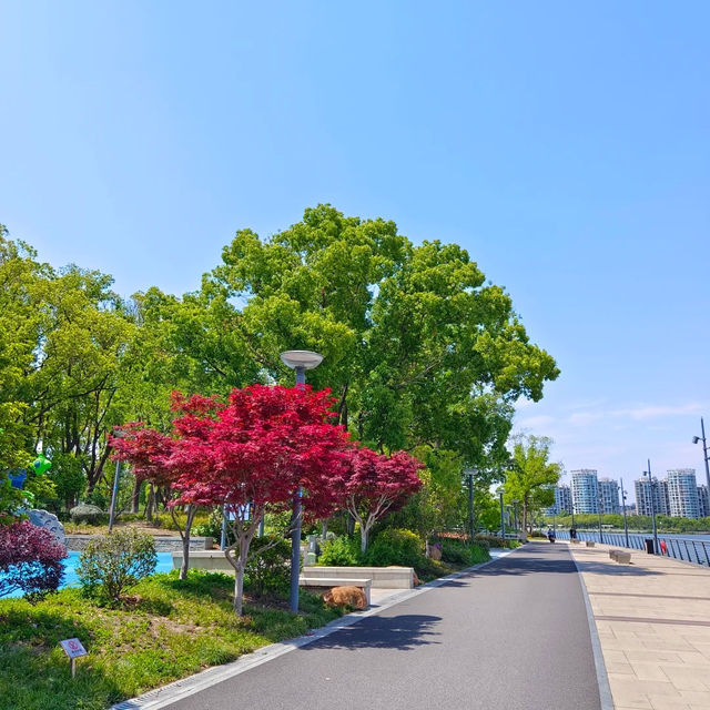 ～江邊印象～金溪體育公園～
