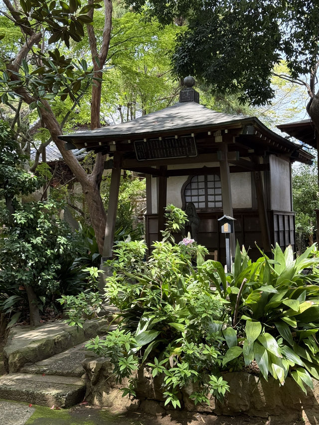 📍妙福寺/東京