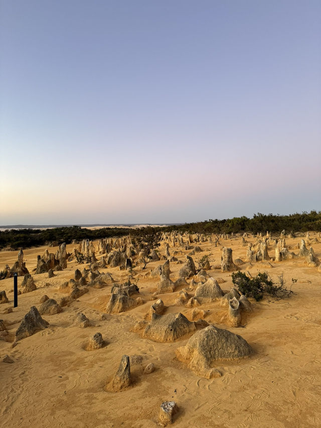 澳洲珀斯景點介紹-尖峯石陣