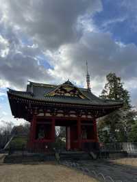 鬧區中的安靜景點｜東京深度遊-芝大神社