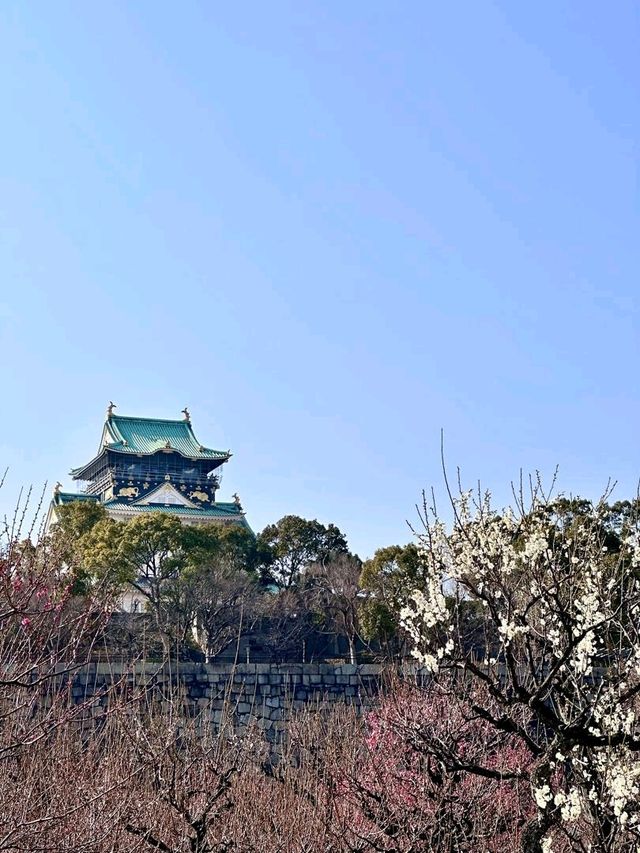 Osaka Castle